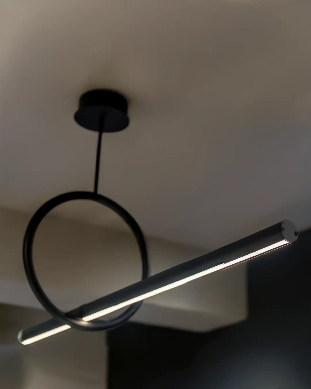 Circle Pendant- Modern Geometric Profile