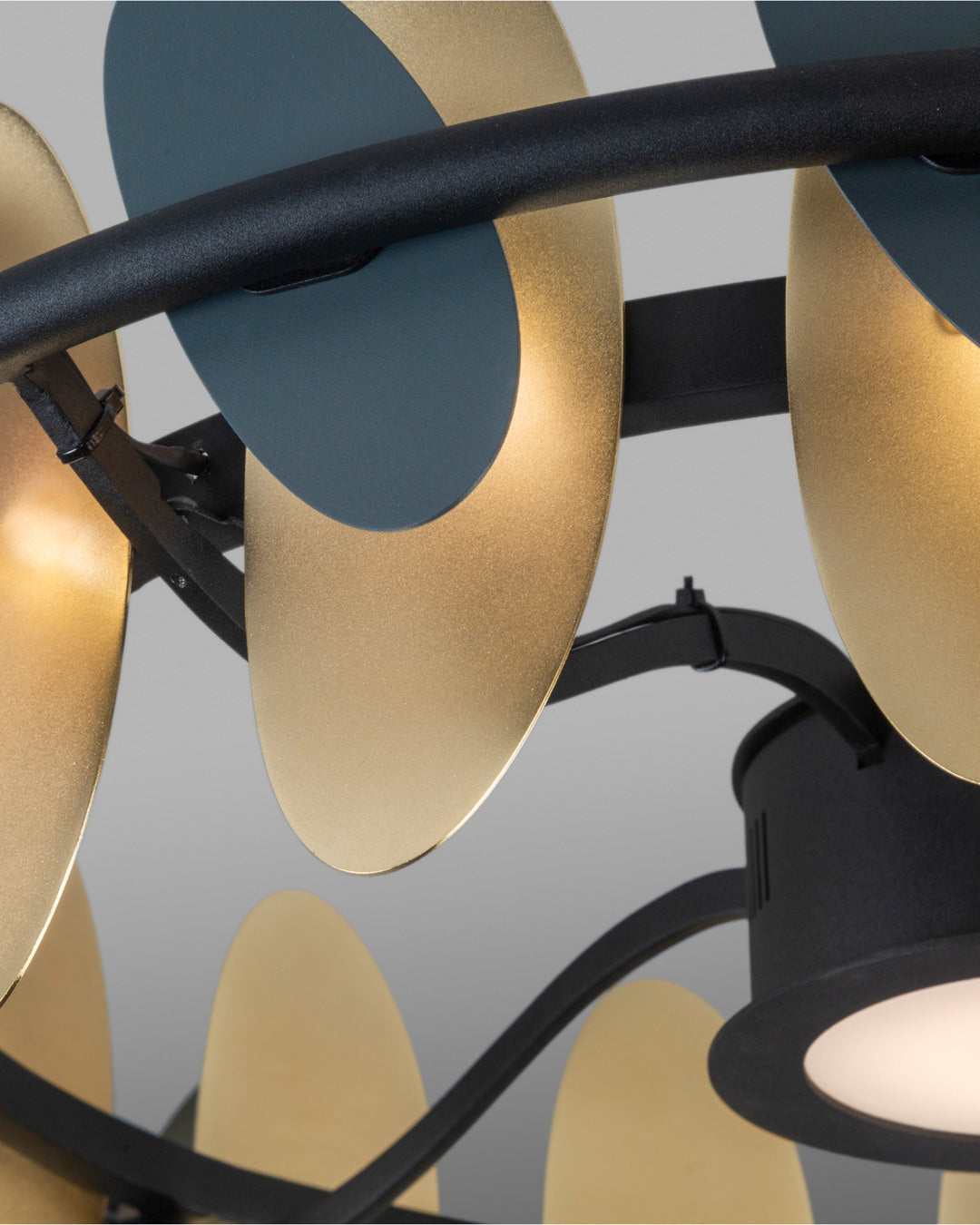 Ovals - Chandelier