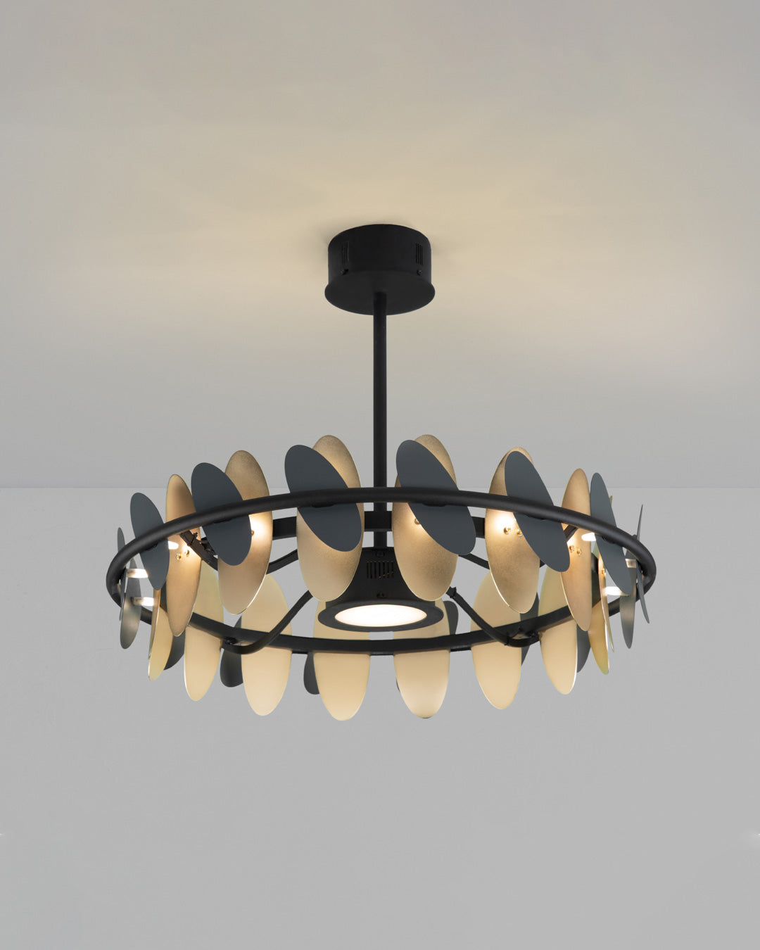 Ovals - Chandelier