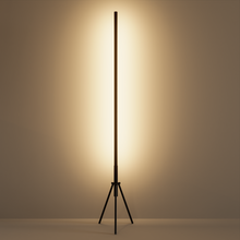 Load image into Gallery viewer, Zen - Floor Lamp
