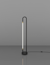 Load image into Gallery viewer, Loop - Floor Lamp
