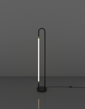 Load image into Gallery viewer, Loop - Floor Lamp
